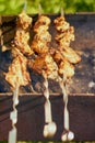 Kebabs are fried on skewers, meat on a skewer Royalty Free Stock Photo