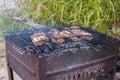 Cooking shish kebab on a chicken grill Royalty Free Stock Photo