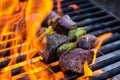 Kebabs on grill with flames Royalty Free Stock Photo