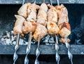 Kebabs on the grill Royalty Free Stock Photo