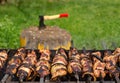 Kebabs sizzling over a hot BBQ fire Royalty Free Stock Photo