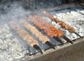 Turkish style grilled shish kebab. Traditional flavors Royalty Free Stock Photo