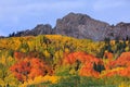 Kebler Pass - Autumn Scenery in the Rocky Mountains of Colorado. Royalty Free Stock Photo