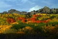 Kebler Pass in Autumn Near Vail, Colorado