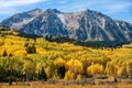 Beautiful Autumn Color on Kebler Pass, Colorado Royalty Free Stock Photo