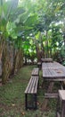 Kebon Gedang is a good place to take a break from the stress of life Royalty Free Stock Photo