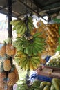 KEBUMEN, INDONESIA Ã¢â¬â AUGUST 10, 2021: Close up of a pile of fresh local bananas in fruit baskets hanging
