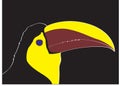 Keel bill toucan