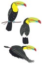 Keel billed toucan