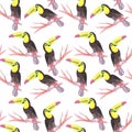 Keel billed Toucan or Ramphastidae sulfuratus bird seamless watercolor birds painting background Royalty Free Stock Photo