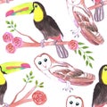 Keel billed toucans and barn owls and flowers seamless watercolor background Royalty Free Stock Photo