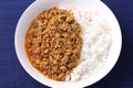 Keema curry rice in a plate Royalty Free Stock Photo