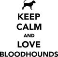 Keep calm and love Bloodhounds Royalty Free Stock Photo