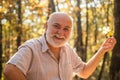 Keep cheerfulness. Pensioner hiking in forest on sunny autumn day. See beauty in simple things. Old bearded man collect Royalty Free Stock Photo