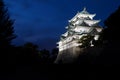 The Keep of Nagoya Castle at Night in Aichi, Japan