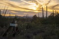 Keep Out of Saguaro Cactus Desert at Sunset