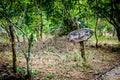 Keep silent sign on a trail on Rinca Island in Komodo National Park, Indonesia Royalty Free Stock Photo