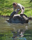 Keeper help to roll over an up side down Aldabra giant tortoise