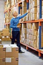 Keeping an eye on the inventory. an employee taking stock in a warehouse.