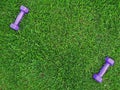 Keeping fit and exercising outdoor or at home. Purple dumbbells on green grass lawn in a backyard or park. The concept of nature, Royalty Free Stock Photo