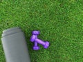 Keeping fit and exercising outdoor or at home. Purple dumbbells on green grass lawn in a backyard or park. The concept of nature, Royalty Free Stock Photo