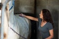 Keeping her horses coat clean. A young woman cleaning her horse in its stable.