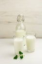 Kefir, ayran, yoghurt in glasses with greens