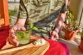 A kefir drink with mint leaves