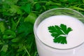 The kefir and greens for healthy ration