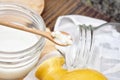 Kefir milk, Close up of hand holding kefir grains, Healthy fermented food, Probiotic nutrition drink. Royalty Free Stock Photo