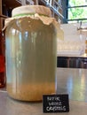 Kefir water crystals fermenting in a large covered jar