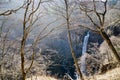 Kegon Waterfall and tree at Nikko, Tochigi, Japan Royalty Free Stock Photo