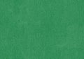 Green Cardboard Flat Seamless Background Texture