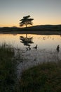 Kelly Hall Tarn is a pool in Cumbria, England, to the west of Coniston Water. It is located about one km south-south-east of the v Royalty Free Stock Photo