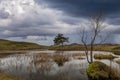 Kelly Hall Tarn near Coniston Royalty Free Stock Photo