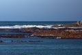 Kelp off a rocky coastline in Kleinbaai Royalty Free Stock Photo
