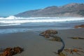 Kelp on beach at original Ragged Point cove at Big Sur on the Central Coast of California United States Royalty Free Stock Photo