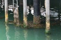 Kelp clings to the pier structure Royalty Free Stock Photo