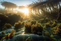 kelp forest at sunrise, with the sunlight filtering through the water Royalty Free Stock Photo