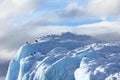 Kelp Gulls and Arctic Terns flying and sitting on iceberg, Antarctic Peninsula