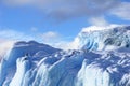 Kelp Gulls and Arctic Terns flying and sitting on iceberg, Antarctic Peninsula