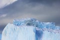 Kelp Gulls and Arctic Terns flying and sitting on iceberg, Antarctic Peninsula