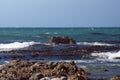 Kelp off a rocky coastline in Kleinbaai Royalty Free Stock Photo