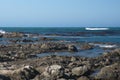 Kelp off a rocky coastline in Kleinbaai Royalty Free Stock Photo