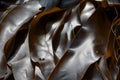 Kelp seaweed (Laminaria digitata)