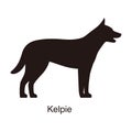 Kelpie dog silhouette, side view, vector illustration