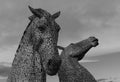 The Kelpies Falkirk Scotland Royalty Free Stock Photo