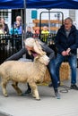 Kelsey Creek Farm Park heritage event, woman getting ready to demonstrate sheep sheari