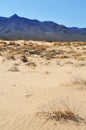 Kelso Dunes, Mojave National Preserve Royalty Free Stock Photo