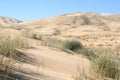 Kelso Sand dunes, Mojave Desert, California Royalty Free Stock Photo